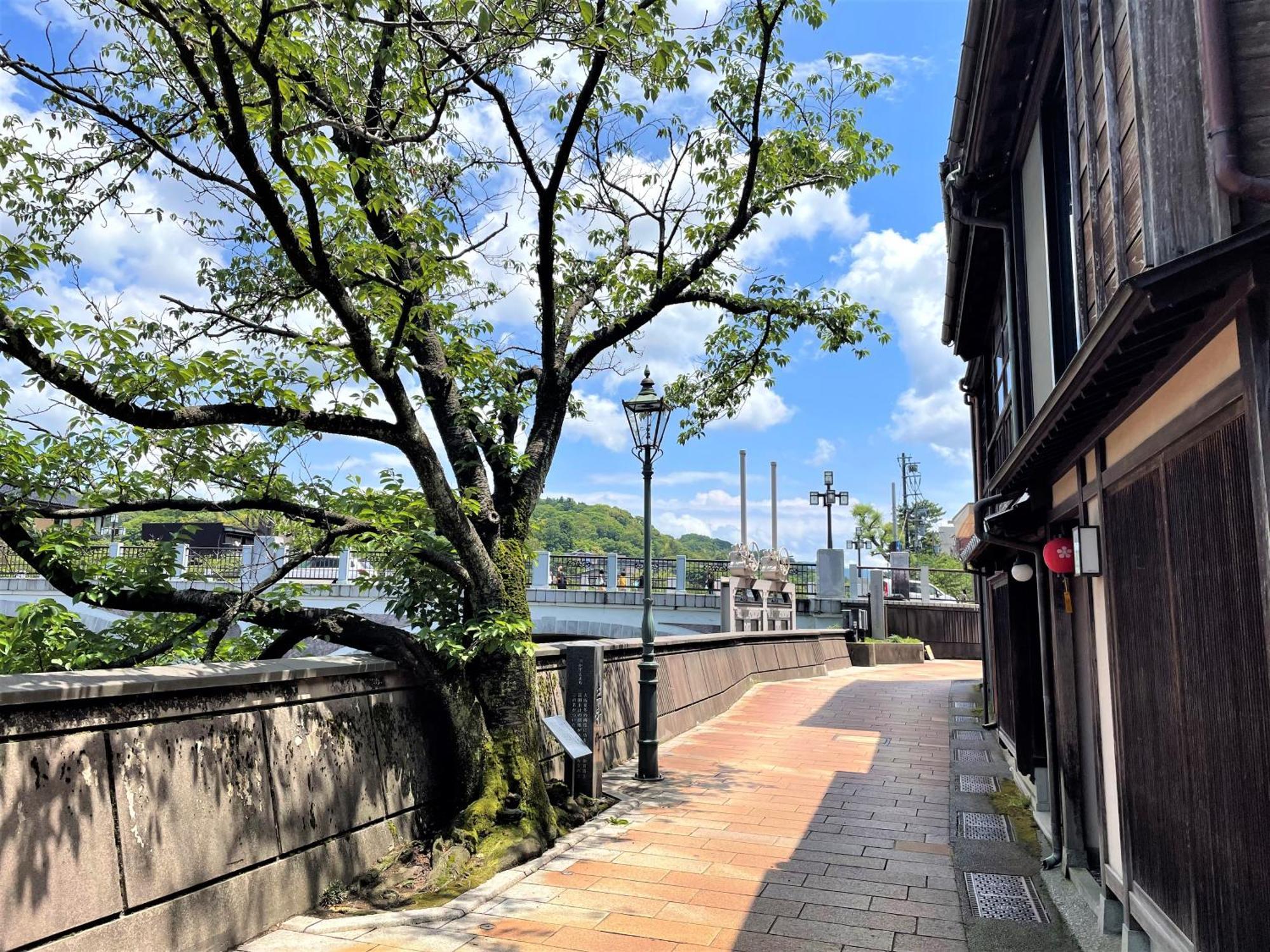 ホテルアマネク金沢 金沢市 エクステリア 写真