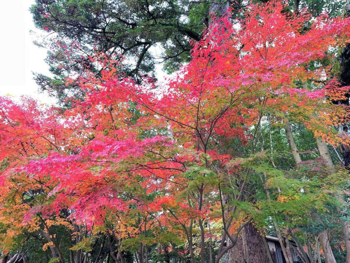 ホテルアマネク金沢 金沢市 エクステリア 写真
